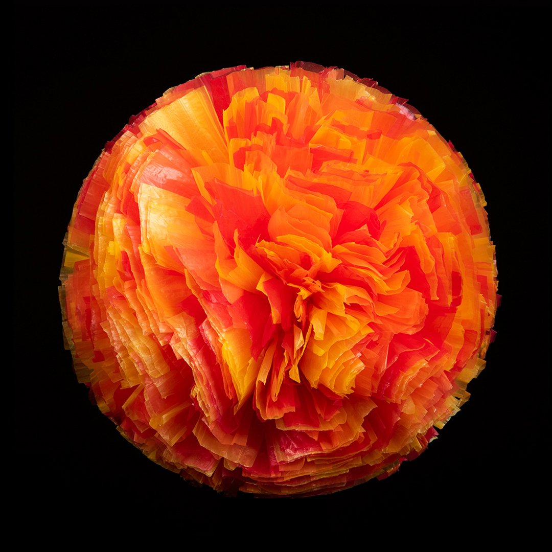 Fire (51)